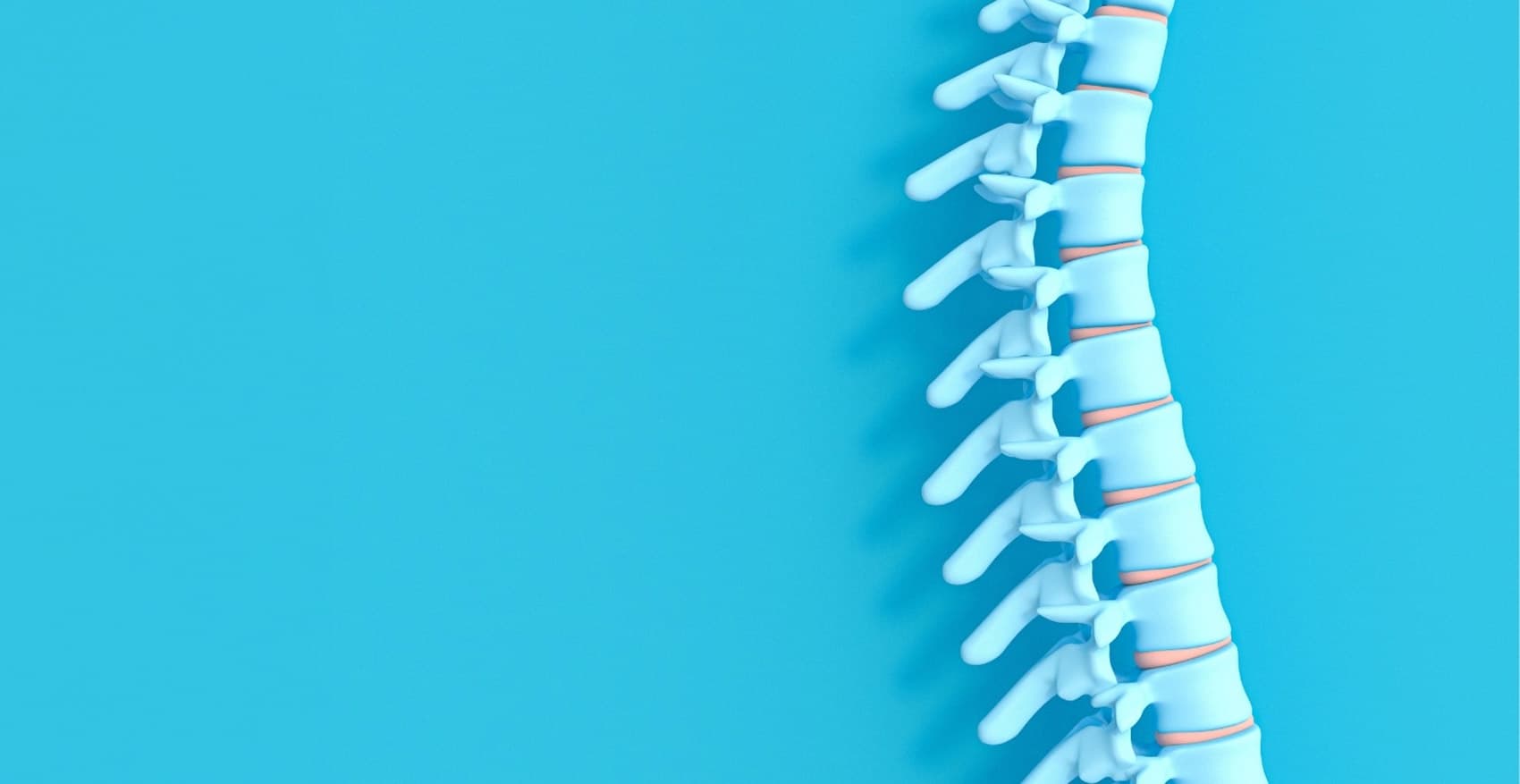 Cervical spine three dimensional render