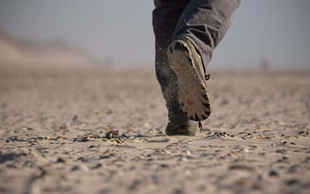 The Importance of Step Count in Recovery After Lumbar SpineSurgery